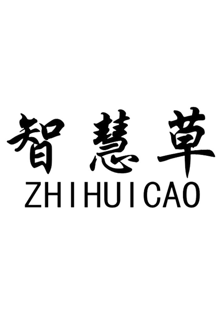 智慧草