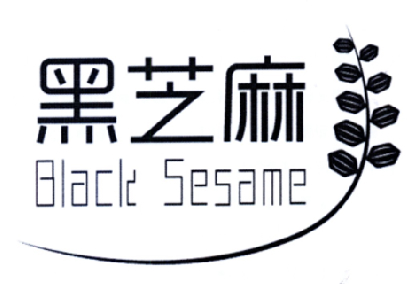 blacksesame_企业商标大全_商标信息查询_爱企查