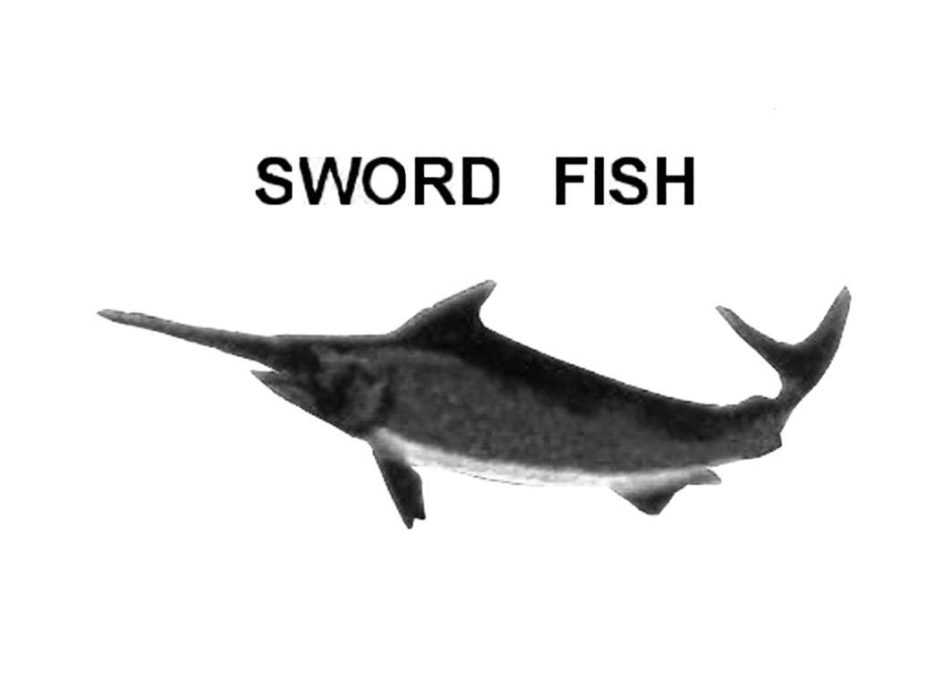  em>sword /em>  em>fish /em>