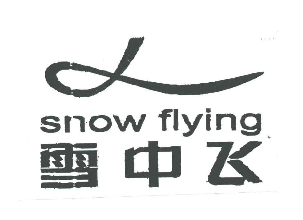 雪中飞英文标志图片