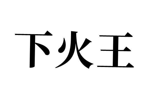  em>下 /em>火王