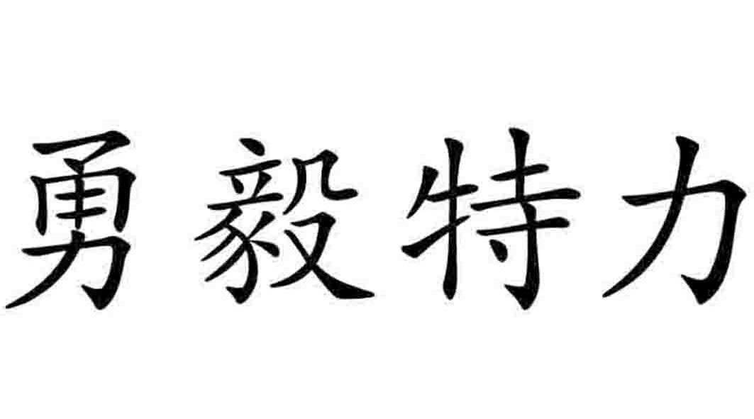  em>勇毅 /em>特力
