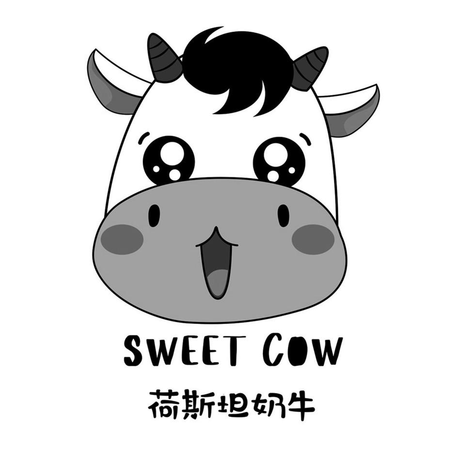 荷斯坦 em>奶牛 /em> sweet  em>cow /em>