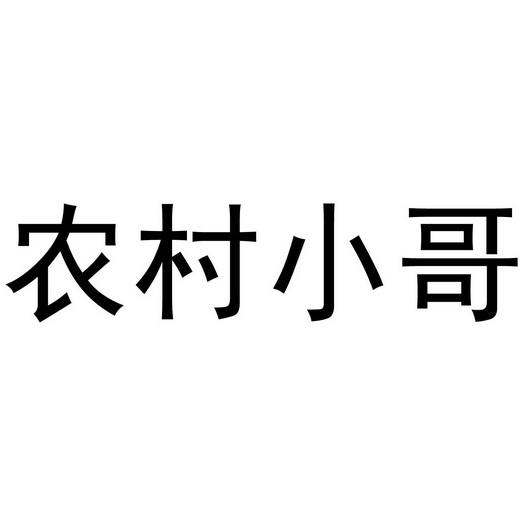 农村小哥                                  