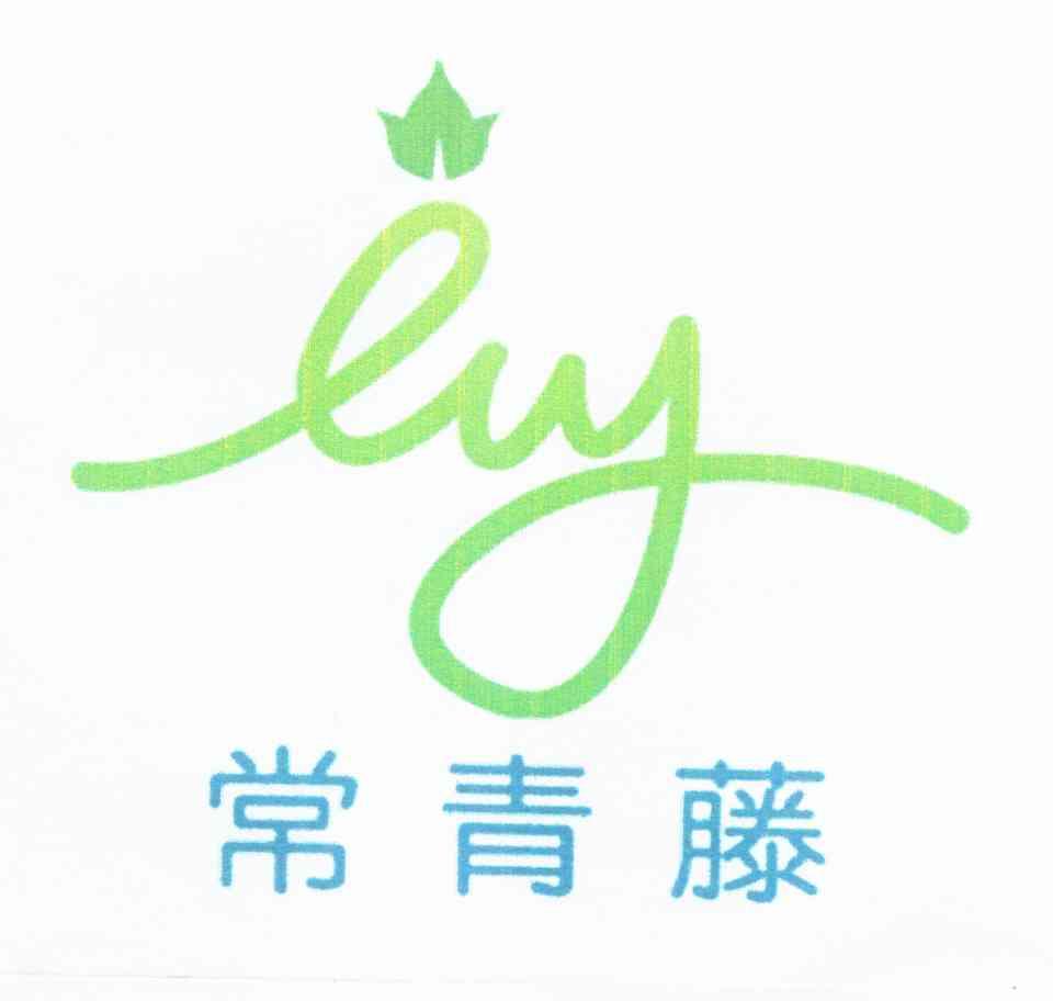em>常青藤/em em>lvy/em>