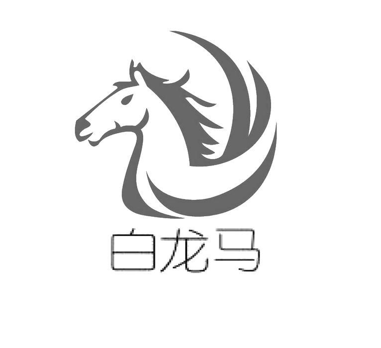 白龙马                                    