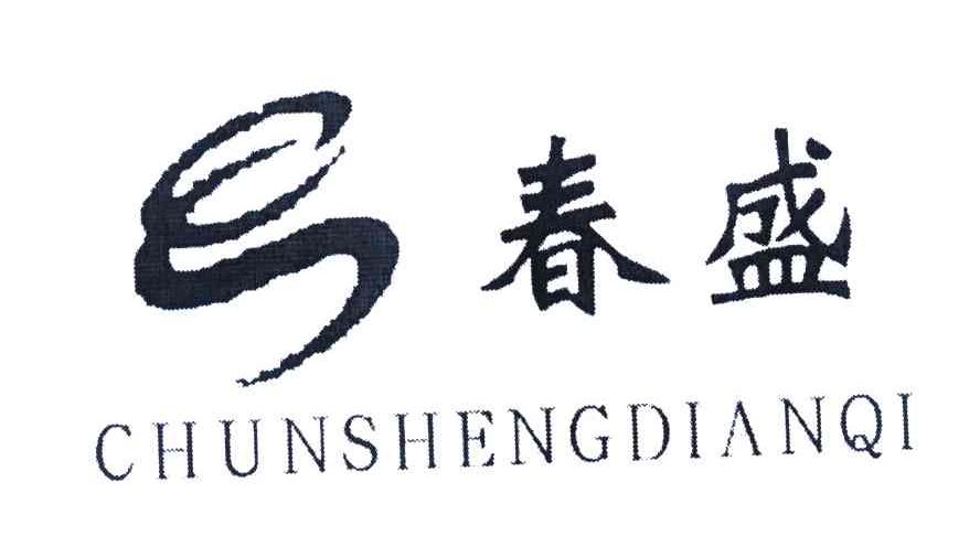 春盛chunshengdianqi