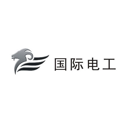 国际 em>电工 /em>