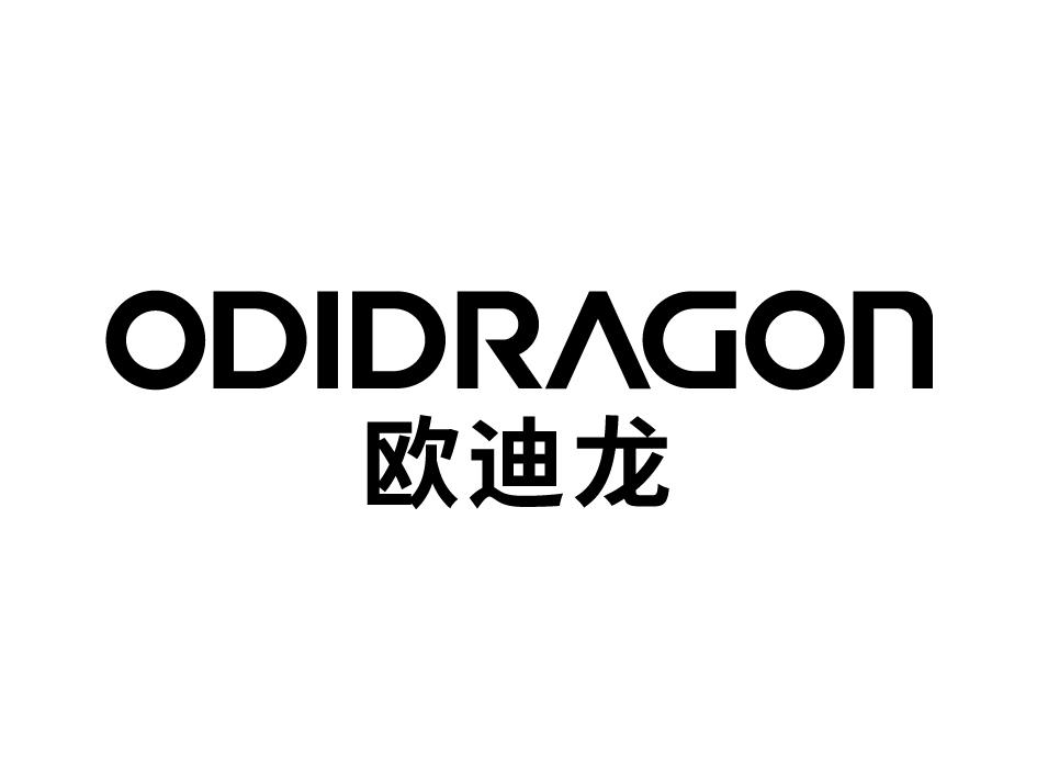 欧迪龙 odidragon