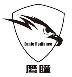 鹰瞳  em>eagle /em>  em>radiance /em>