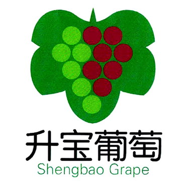 升 宝 葡萄 shengbao grape商标注册申请完成