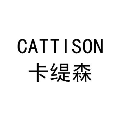 em>卡缇森/em cattison