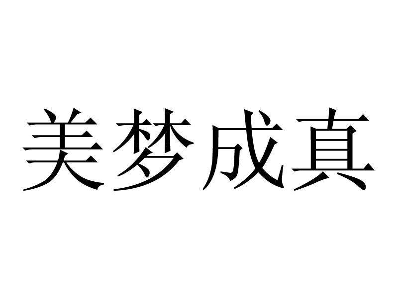  em>美梦 /em>成真