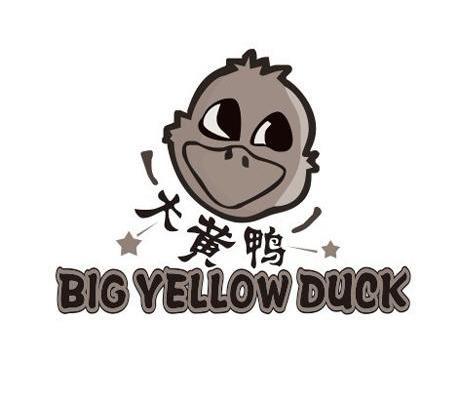 大懂鸭logo图片