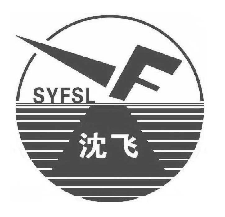 沈飞 syfsl f