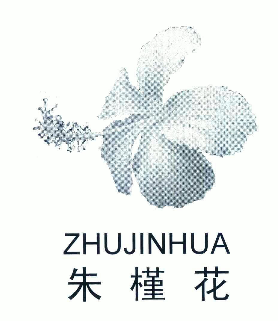 朱槿花logo图片