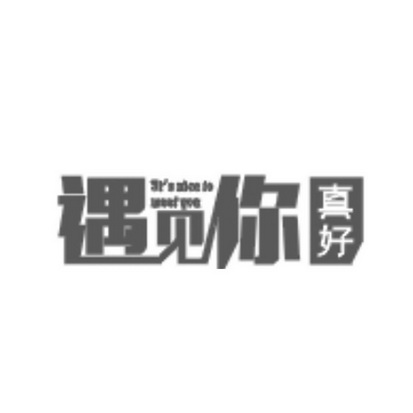 遇见你真好 its  em>nice /em> to meet you