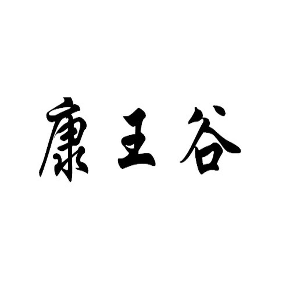 服装有限公司办理/代理机构:广州中浚雄杰知识产权代理有限责任公司