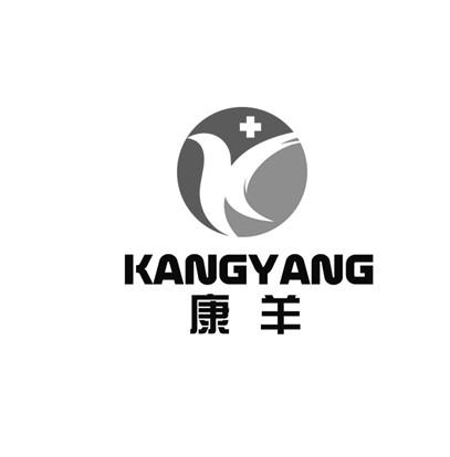  em>康 /em> em>羊 /em>