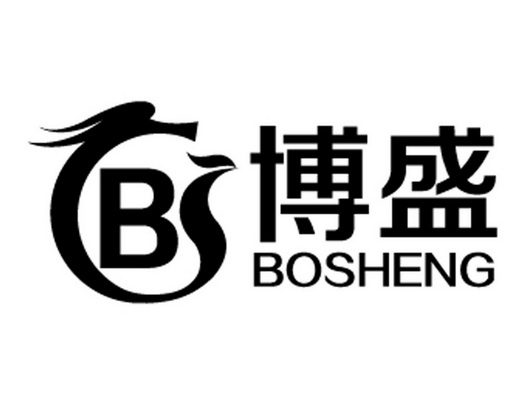  em>博盛 /em>