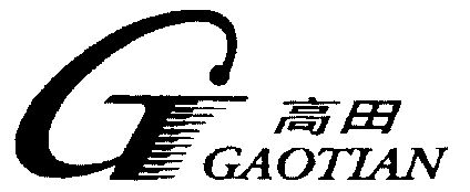  em>g /em>; em>高田 /em>