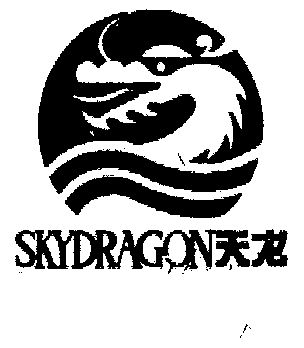  em>天龙 /em>  em>sky /em> em>dragon /em>