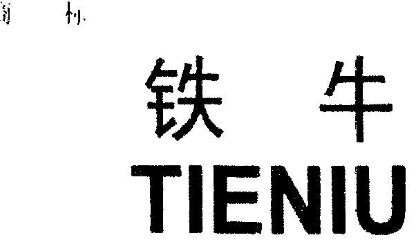  em>铁牛 /em>