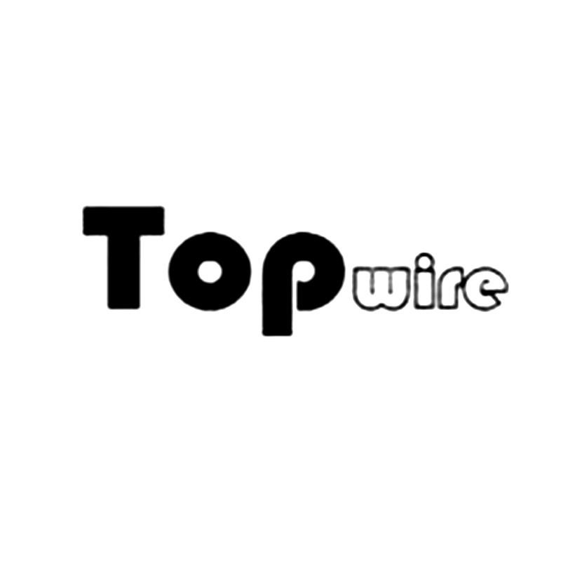 Topwire TOPWIRE - 商标查询 - 注册号28280090 - 爱企查