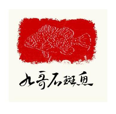  em>九哥 /em> em>石斑鱼 /em>