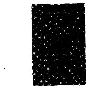  em>东方 /em>晓鸣