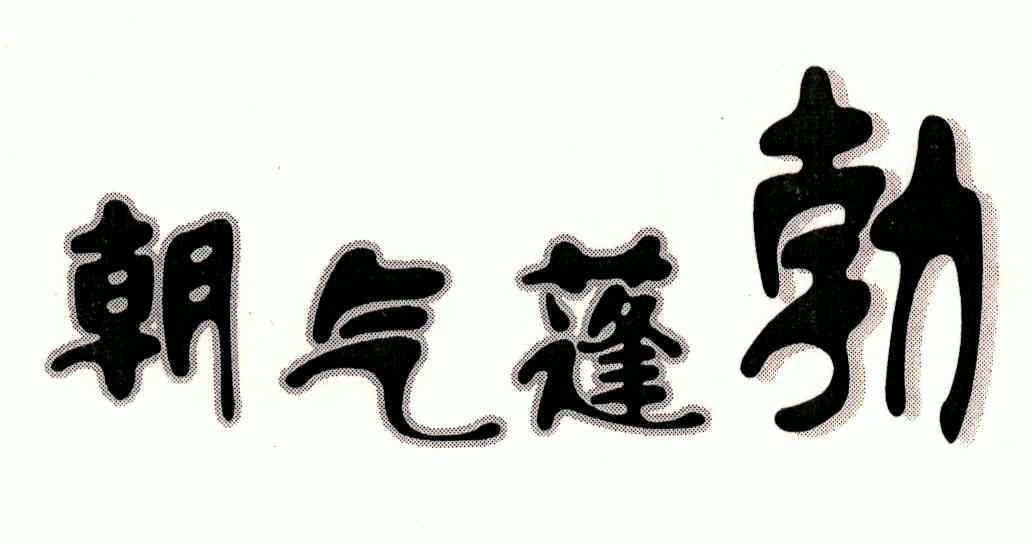  em>朝气蓬勃 /em>