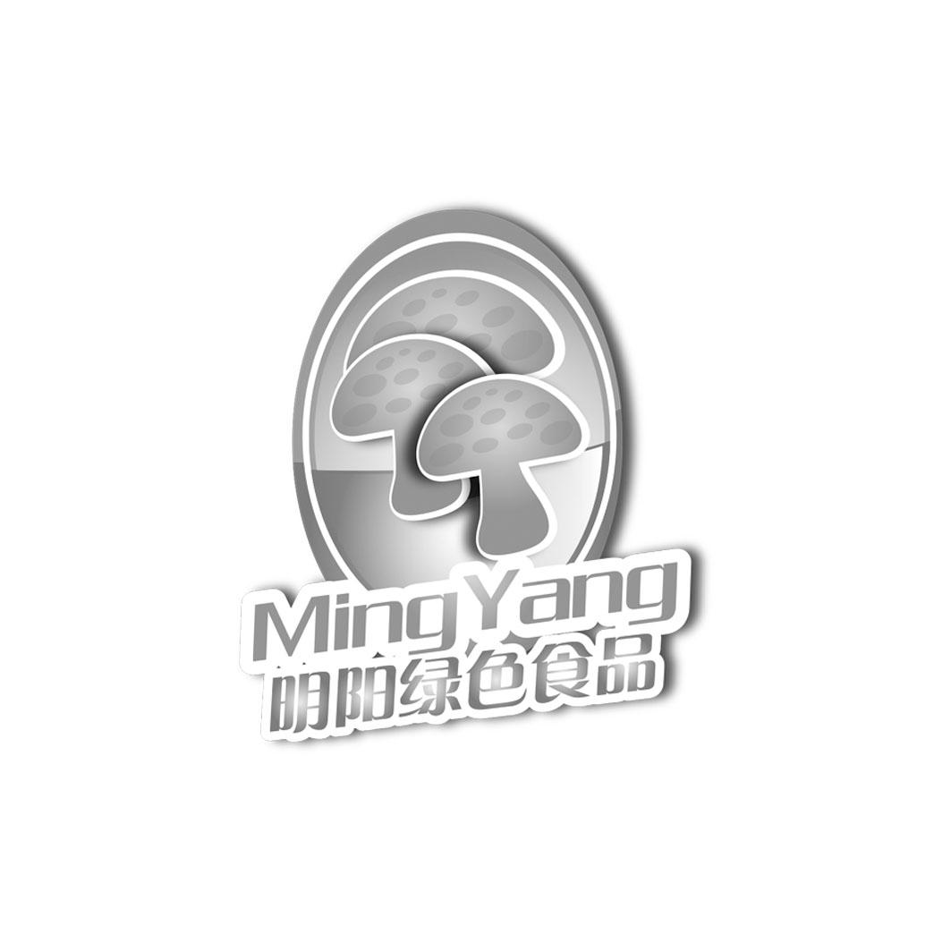 明陽 綠色 食品 ming yang商標無效