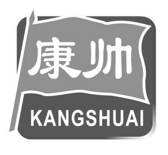 康帅 商标注册申请