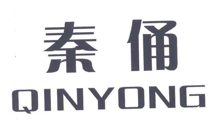 秦俑;qinyong