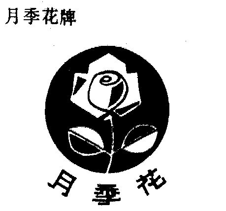  em>月季花 /em>