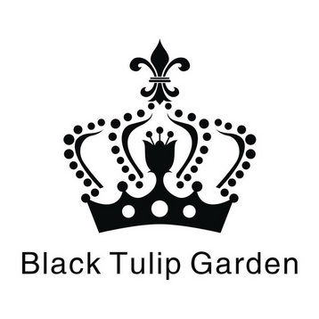  em>black /em>  em>tulip /em> garden