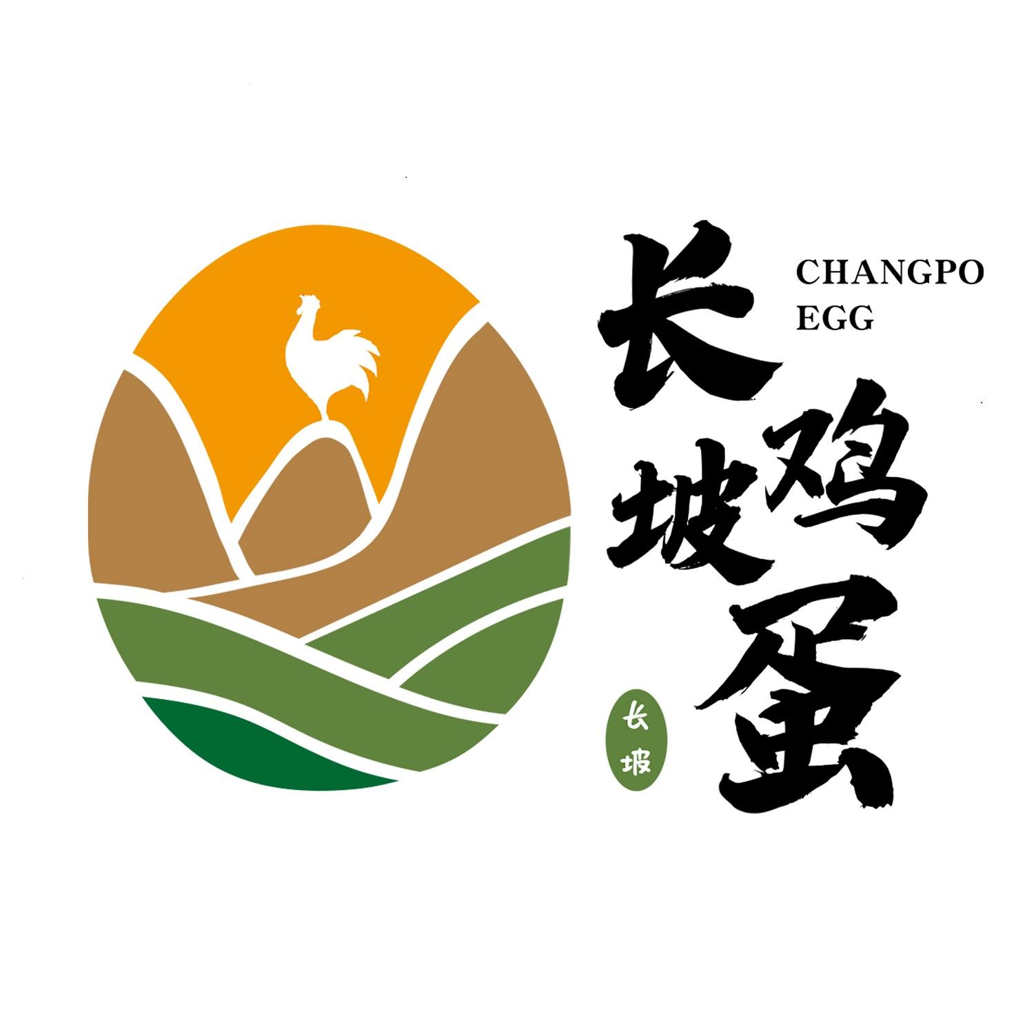 长坡鸡蛋 长坡  em>changpo /em> egg
