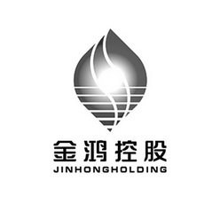 金鸿控股 jinhongholding