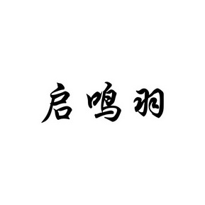 商标详情申请人:宁夏羽铭启商贸有限公司 办理/代理机构:国铭(北京)