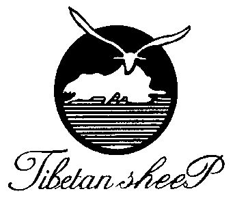  em>tibetan /em> sheep