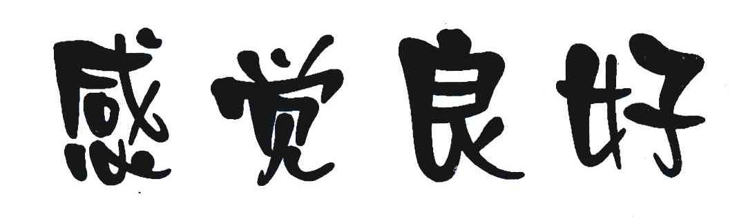  em>感觉 /em>良好