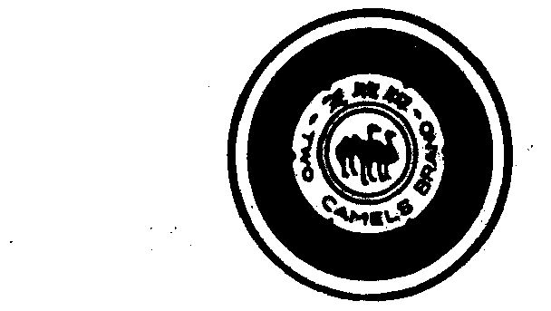 双驼 em>two /em>  em>camels /em>