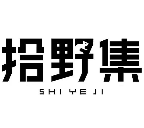 拾野集 - 商标 - 爱企查