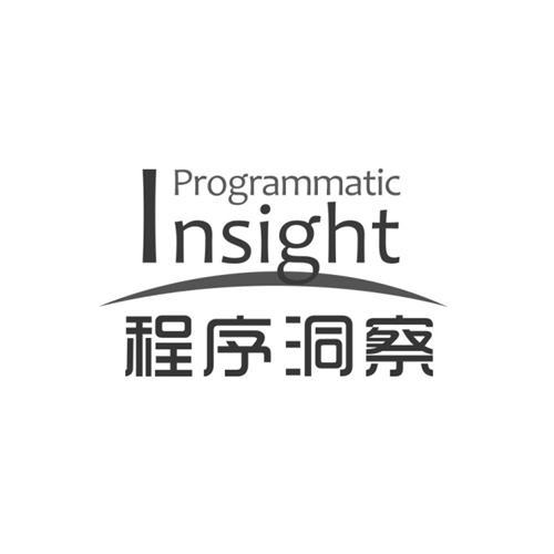 em>程序 /em> em>洞察 /em>  em>programmatic /em>  em>insight /em