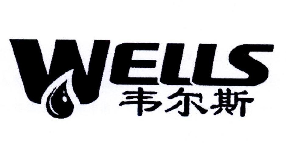 韦尔斯 em>wells/em>