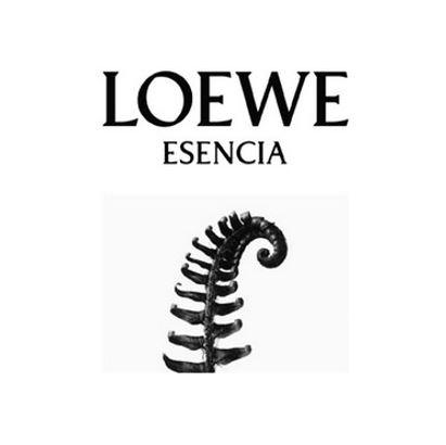 loewe esencia