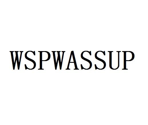 wspwassup_企业商标大全_商标信息查询_爱企查