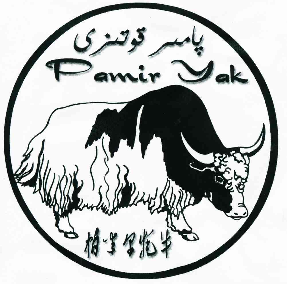  em>帕米尔 /em> em>牦牛 /em> pamir yak