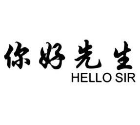 你好先生 hello sir