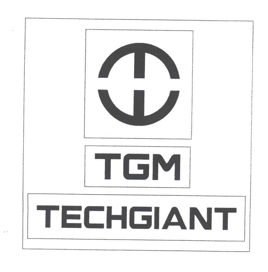 tgm; em>techgiant /em>